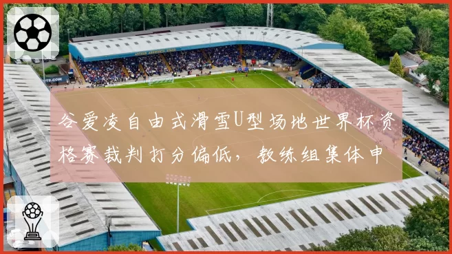 谷爱凌自由式滑雪U型场地世界杯资格赛裁判打分偏低，教练组集体申诉