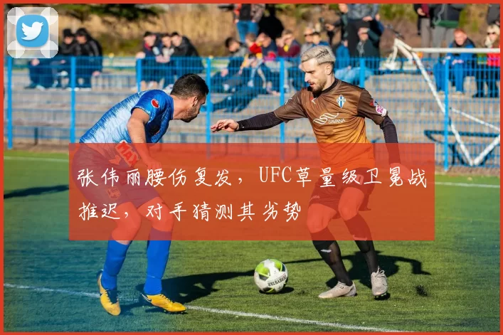 张伟丽腰伤复发，UFC草量级卫冕战推迟，对手猜测其劣势