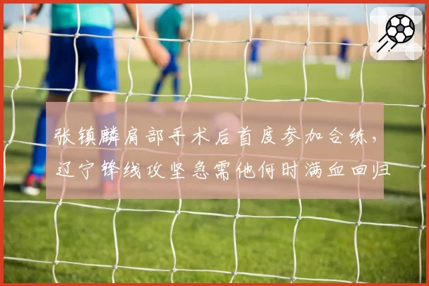 张镇麟肩部手术后首度参加合练,辽宁锋线攻坚急需他何时满血回归?